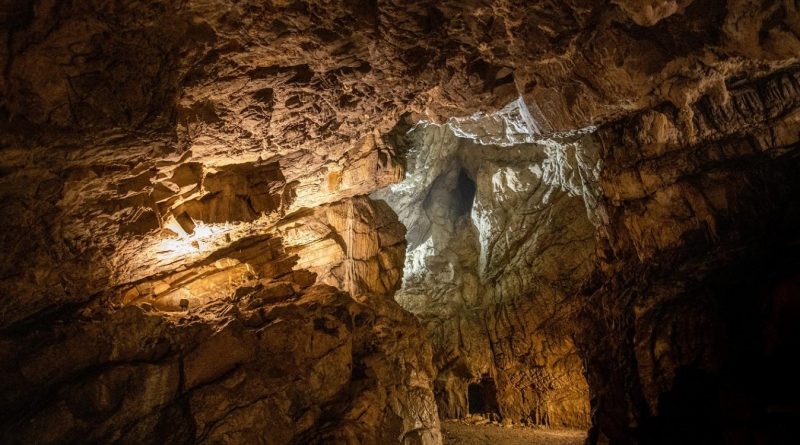 Découvertes archéologiques 2024: en Belgique, les Grottes de Goyet